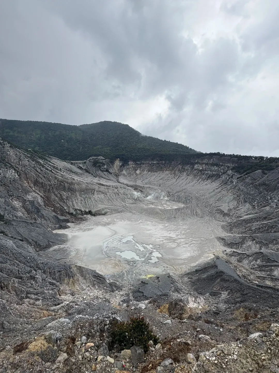 f0837dbb2658704babeb045aab6eddda-sz_497475