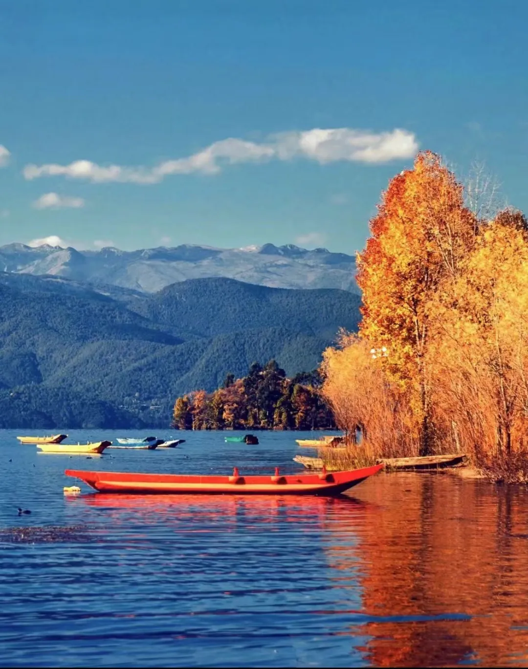 f0d18759d1fe2fed356cbbb3e6bfa6ca-sz_401376 f0d18759d1fe2fed356cbbb3e6bfa6ca-sz_401376