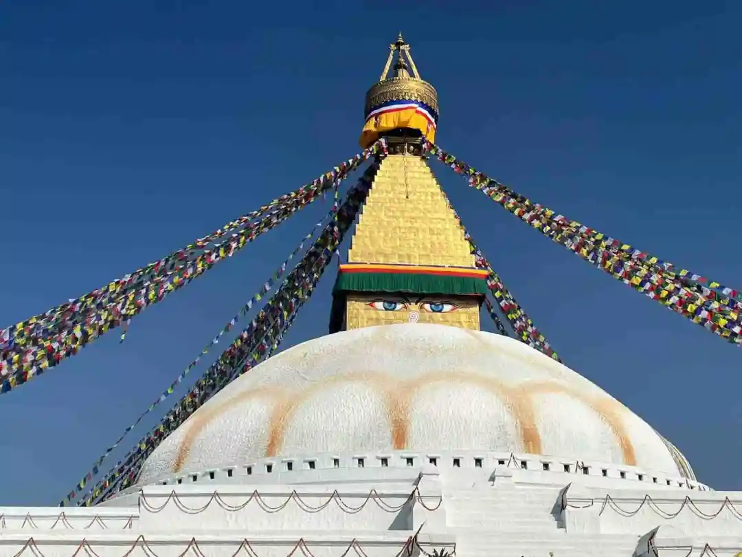 f0e3b5866982ba756901e90a42961901-sz_117522