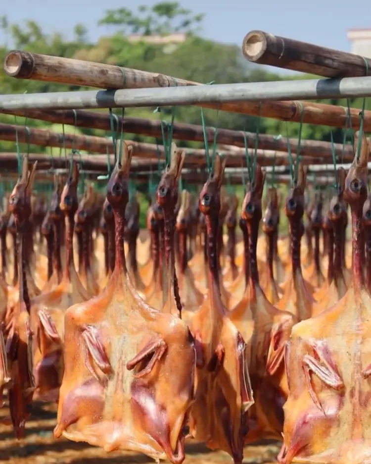 f0e6d53b173aefcc0109d07549582e8c-sz_209160