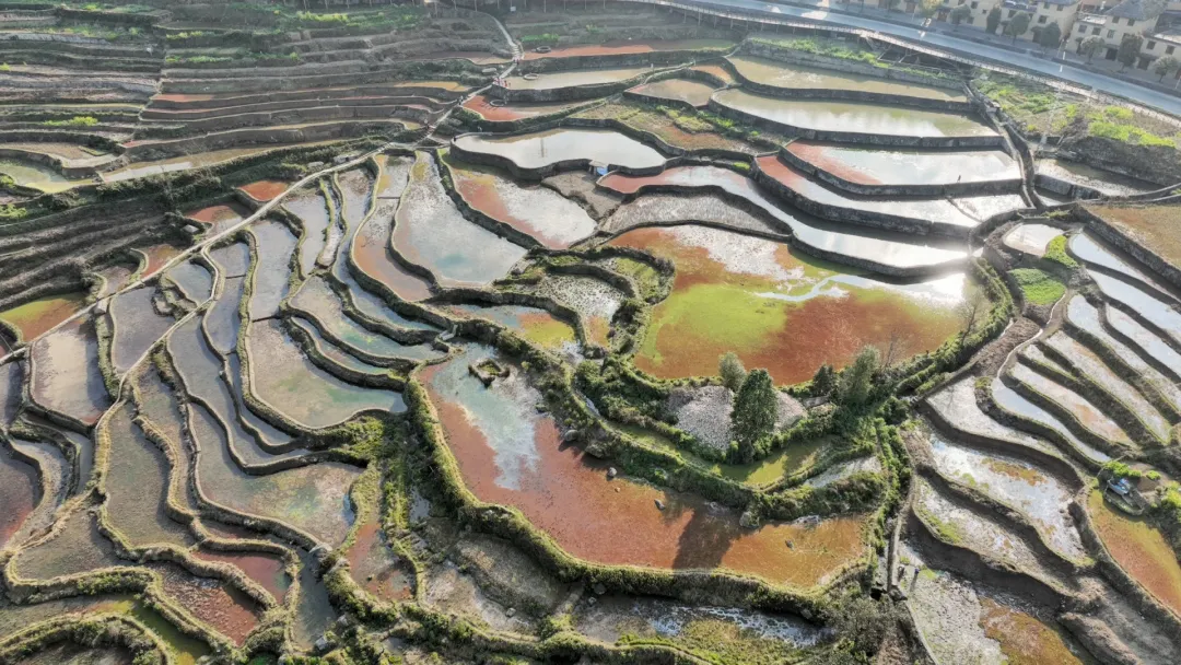 f0e7029f6dd21aef367382aab876528e-sz_5354892 f0e7029f6dd21aef367382aab876528e-sz_5354892