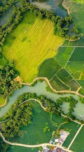 f10403fbe47a6608fc726bce4d8aa95a-sz_153468-1 f10403fbe47a6608fc726bce4d8aa95a-sz_153468-1