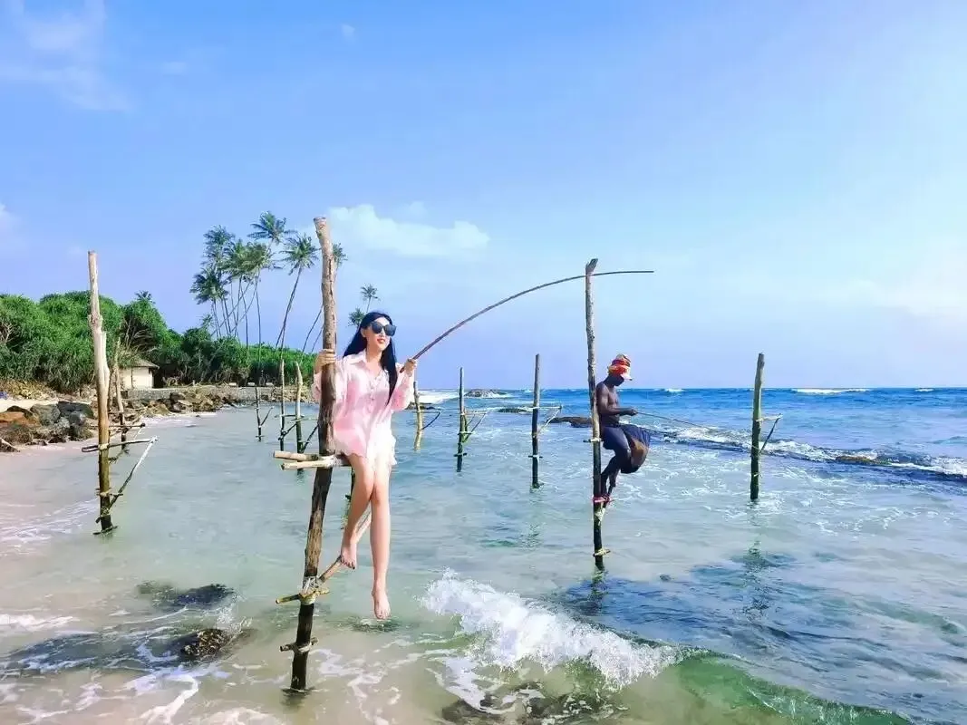 f167c417fe8f4908048e273eca995df6-sz_118521-1