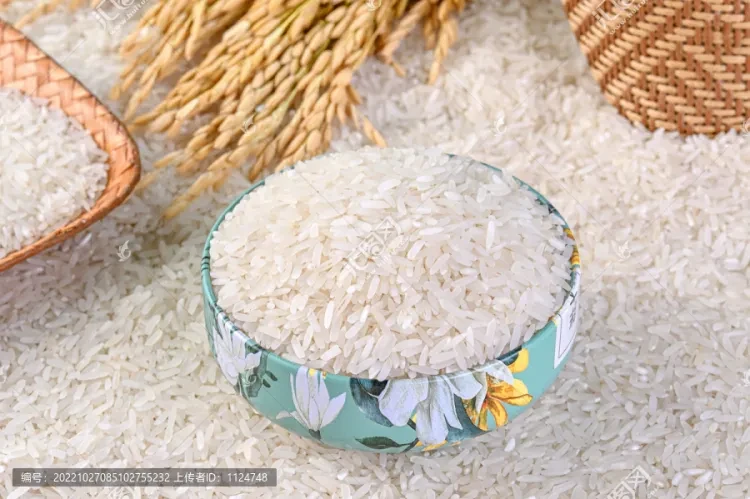 f17011081cef1027cd430537d7fd4079-sz_688819 f17011081cef1027cd430537d7fd4079-sz_688819