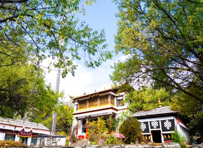 f18909d94bbc8bccb0ed02fcd54ef00c-sz_363337