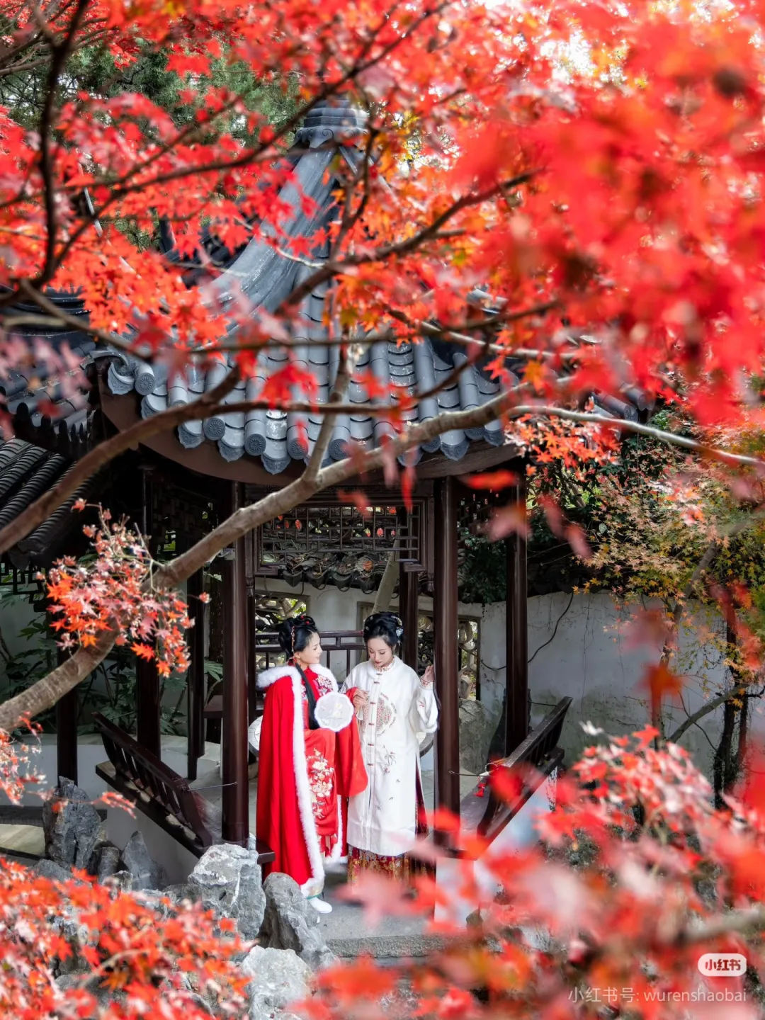 f1b0cbd33975c7aee859f861ceca3aae-sz_1907710