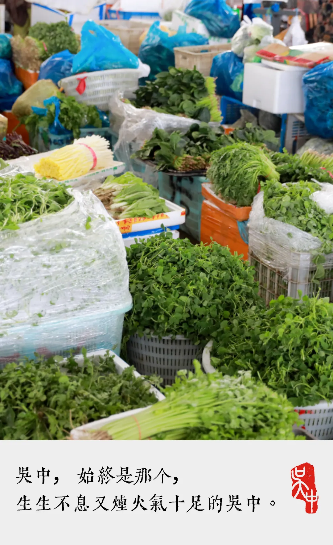 f22e5162a495c4fcedbc741b506b48d4-sz_2379449