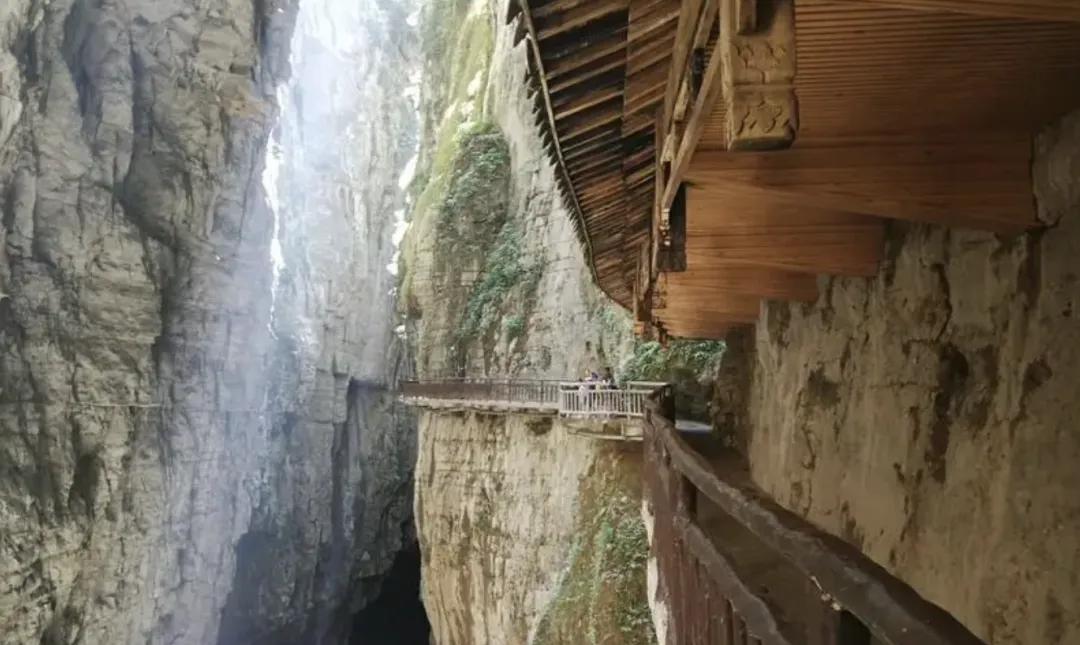 f2351d777a4776aa1b916465ecc65444-sz_1723247