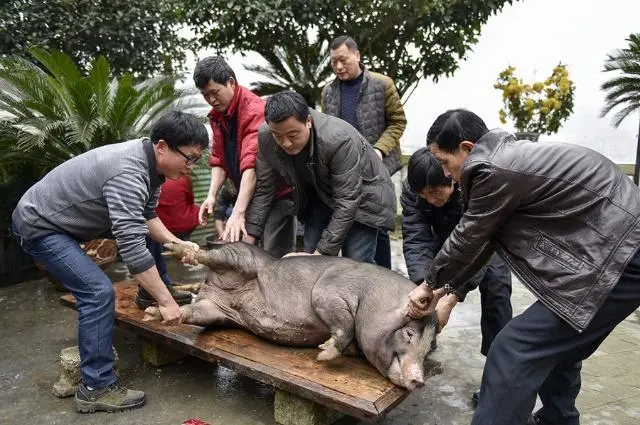 f28b84a2d1230dda9019ee737033310a-sz_67237 f28b84a2d1230dda9019ee737033310a-sz_67237