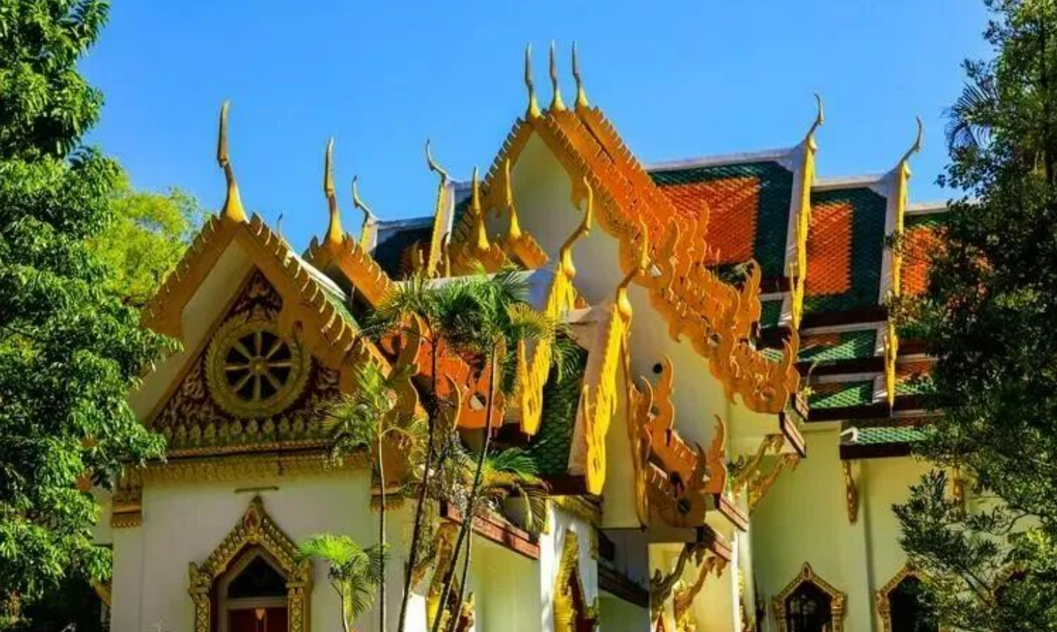 f2ac361ddadf15922c841381fa6a8ce6