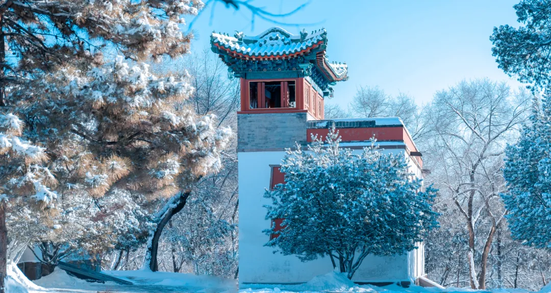 f2b1a026808ad5ecfeb3a19c36196aa9-sz_2118124 f2b1a026808ad5ecfeb3a19c36196aa9-sz_2118124