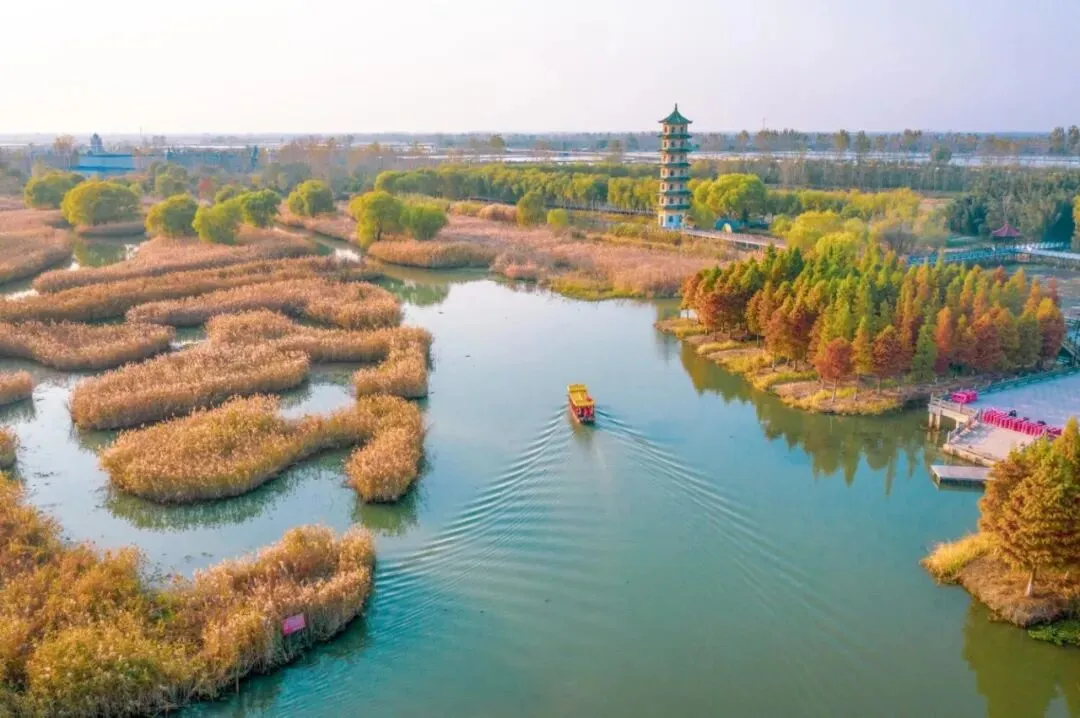 f2bff525464e67f90c5efc031f315b57-sz_112724