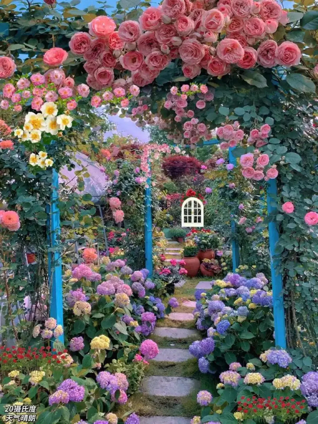 f2c7100891a4caf78bcc0171aa000f86-sz_1192446 f2c7100891a4caf78bcc0171aa000f86-sz_1192446