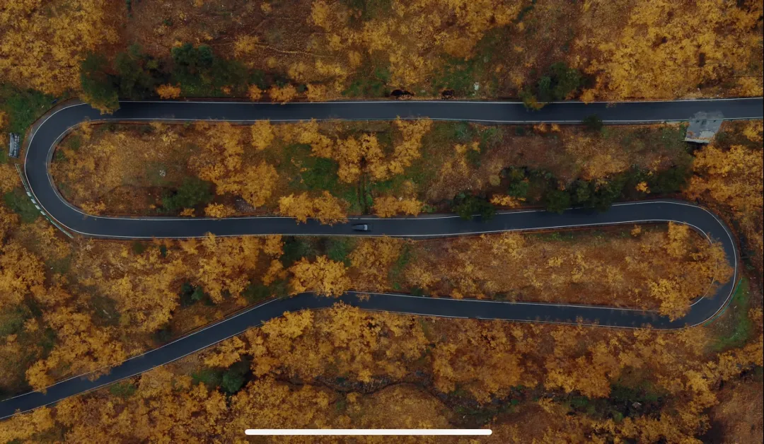 f2f37e3b10dd80797c67d1f41b016333-sz_751469 f2f37e3b10dd80797c67d1f41b016333-sz_751469