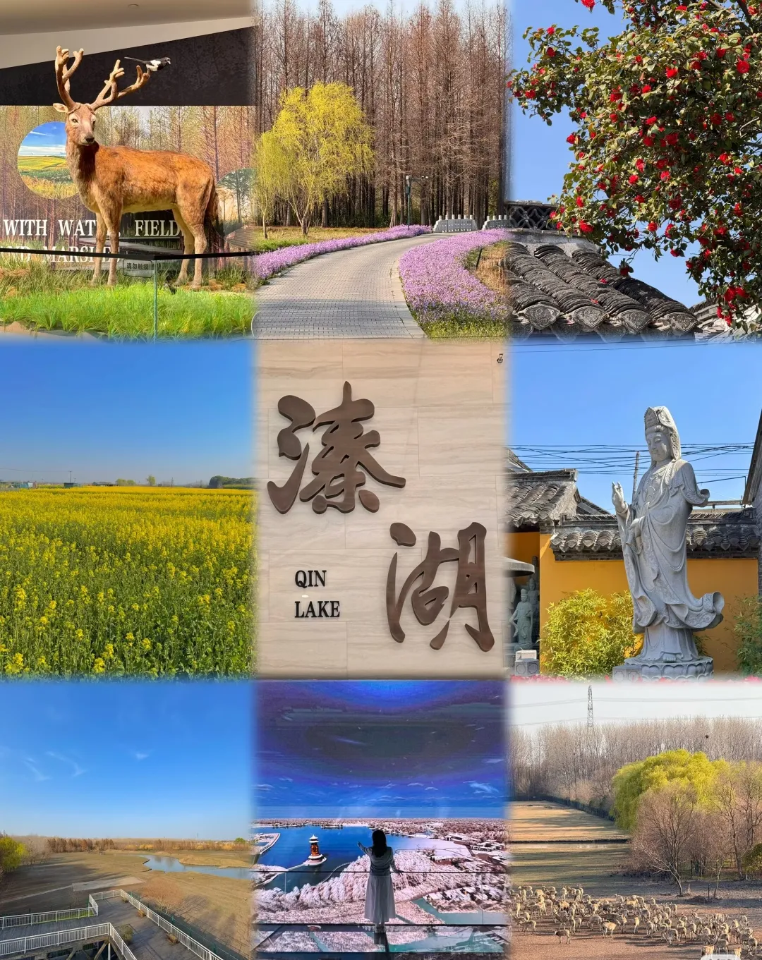 f2f8c3bd066691ae82d032b7afb09373-sz_1259772-1