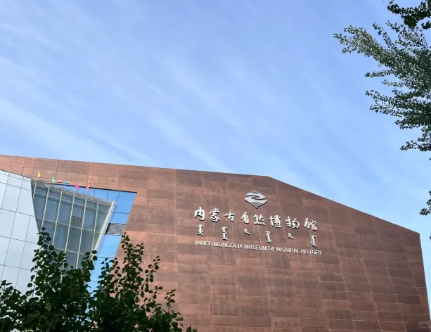 f31dc424adfb5475649bdaad71ffc0da-sz_422245