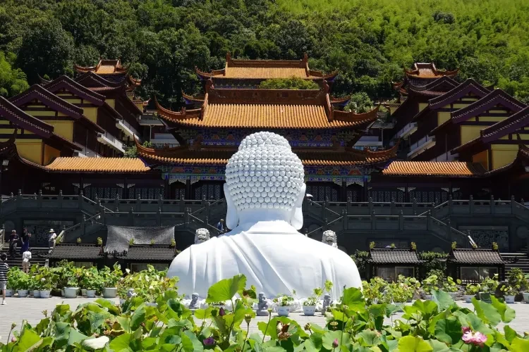 f33ea0250ec2266316048a55247370c1-sz_496346 f33ea0250ec2266316048a55247370c1-sz_496346