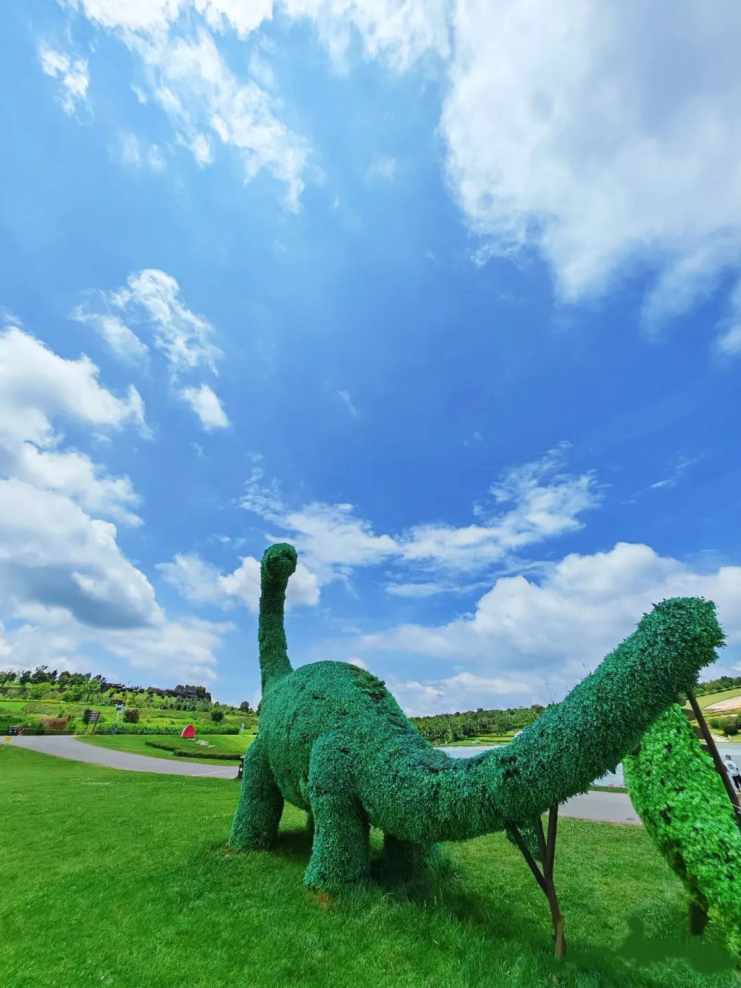 f36c1cb67746eab9b2e99bb5f86676c7-sz_3283230