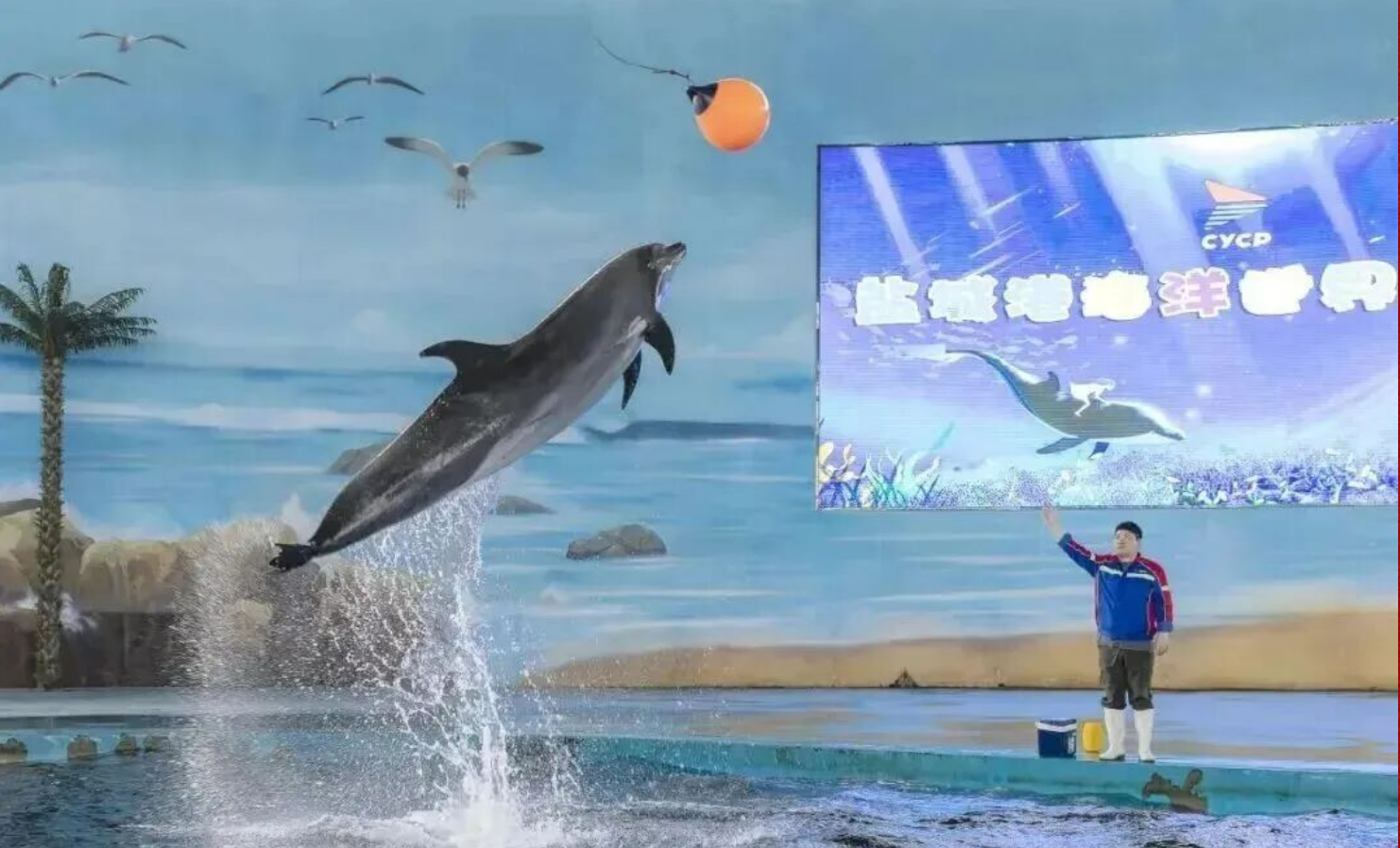 f380e27a59ac26acb49109ceb6c567e9