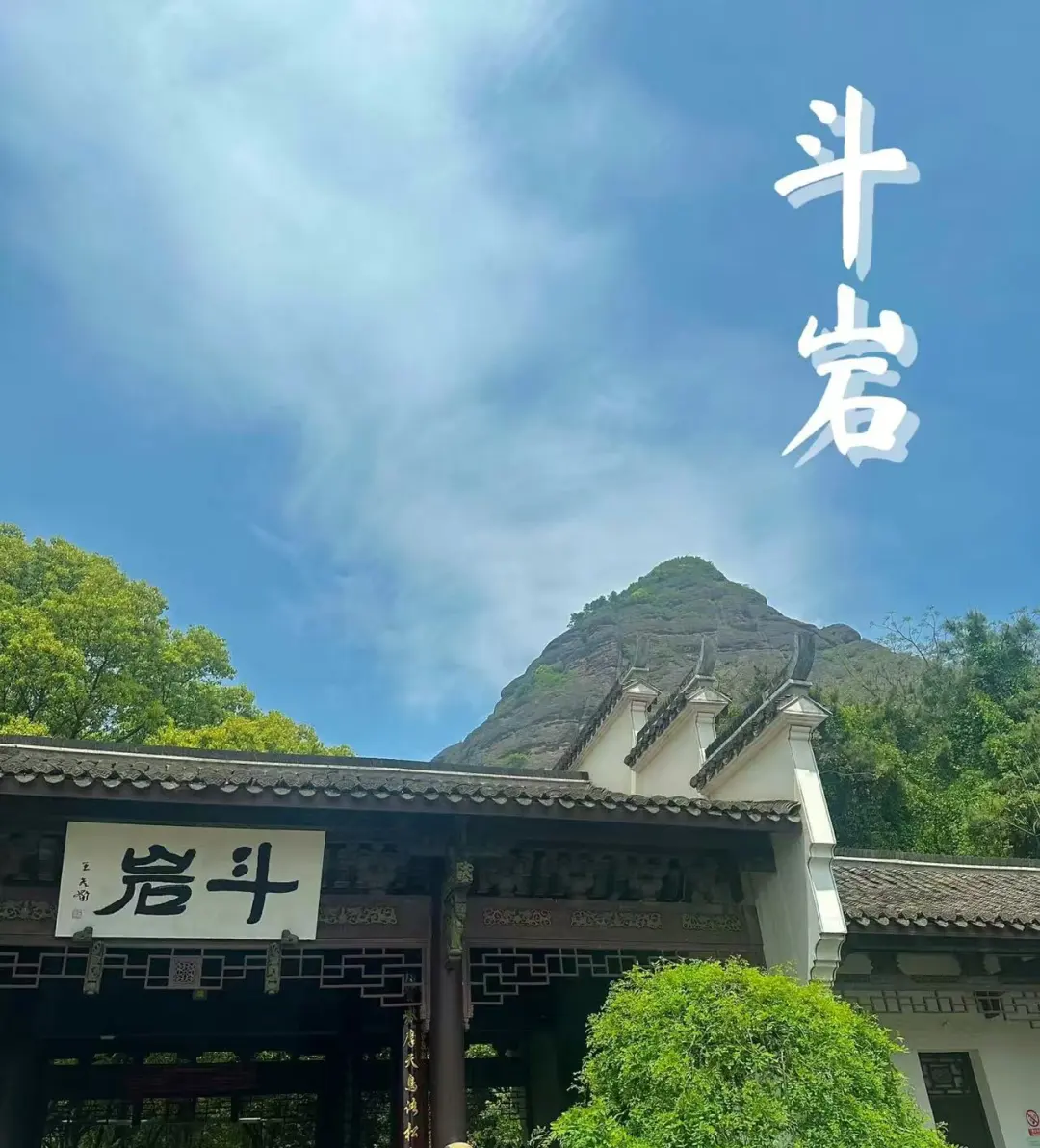 f40050d271aa08dd7496572a1eb783f2-sz_292865