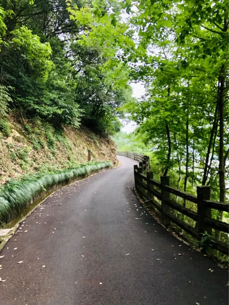 f4219be8a3f7cd41889009a9de29c96b-sz_334965