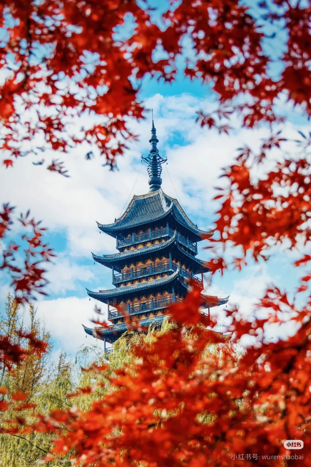 f43046eb60b6eaa3c91e46d0fcce9694-sz_1826981