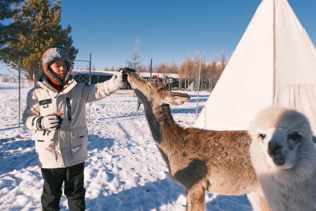 f4369eb7e4b13492111357aedcd5233b-sz_1628984 f4369eb7e4b13492111357aedcd5233b-sz_1628984