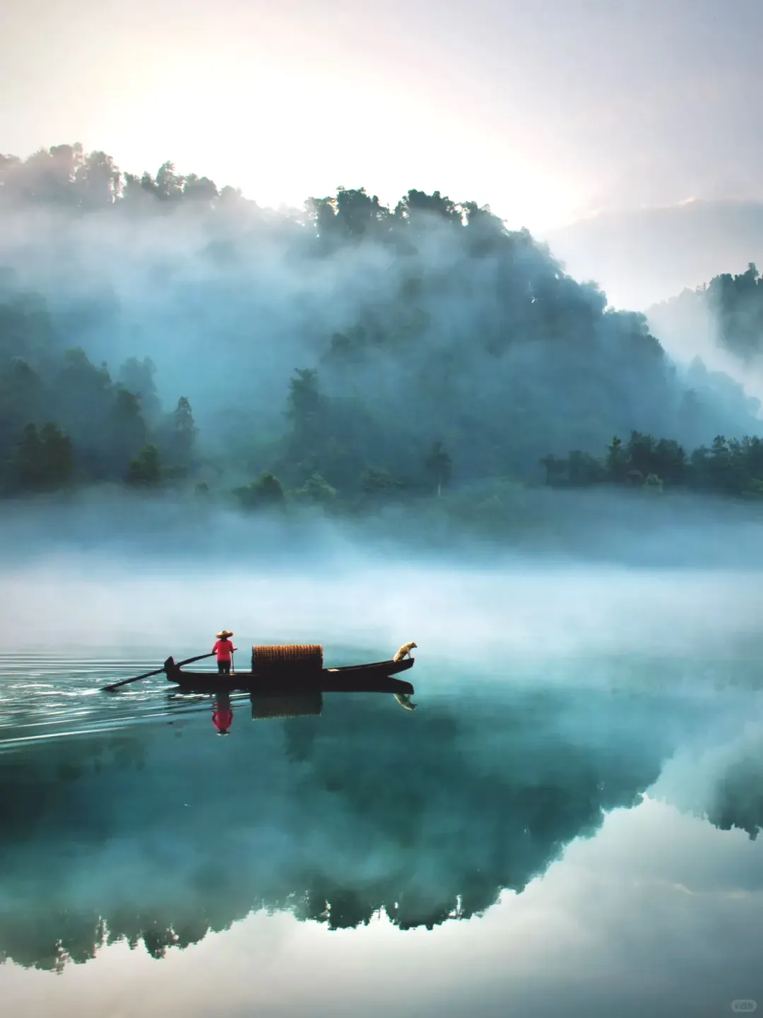 f442a8dd0fb4530fd6924221b3d4d653-sz_893155