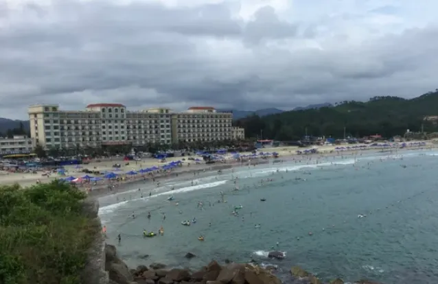 f454e33a1394146891c7253faea29895-sz_383343