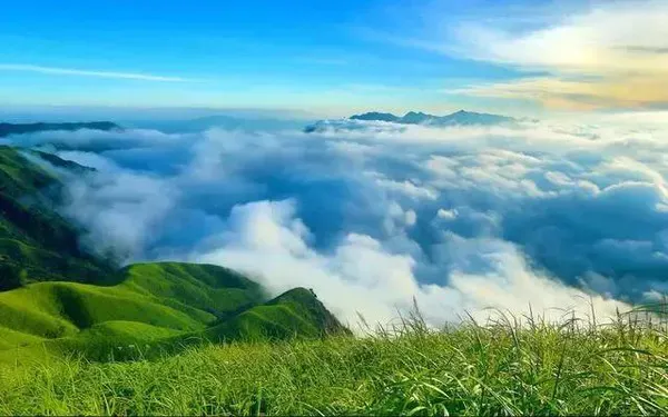 f49abb822726777d70b8e1dc846b7e34-sz_488123 f49abb822726777d70b8e1dc846b7e34-sz_488123