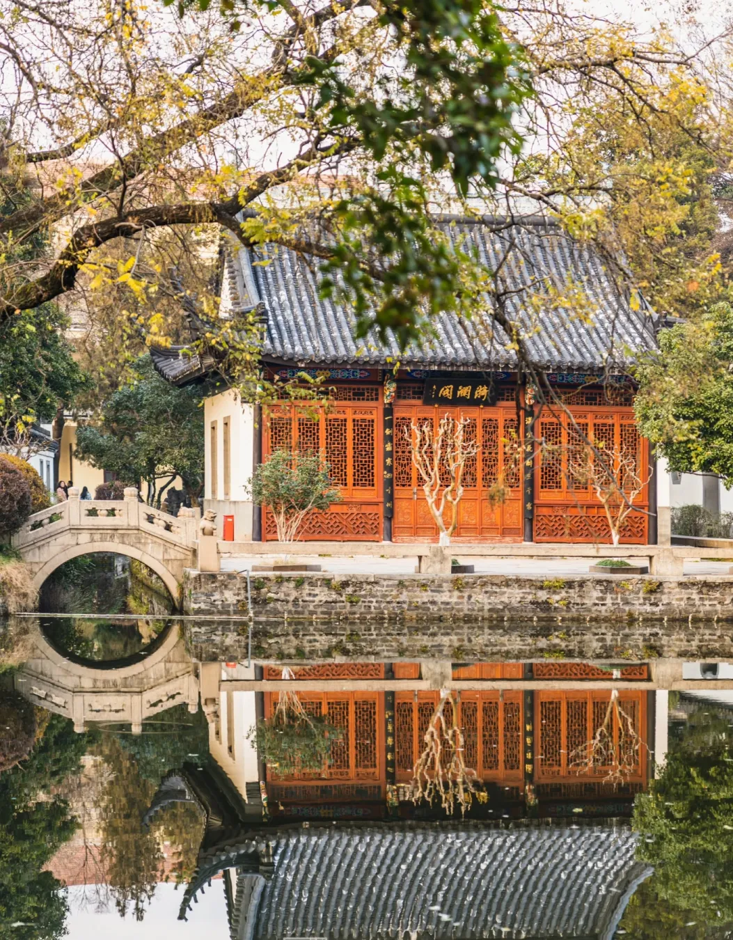 f4ace5419ba9d542875e616aa7a4dfd6-sz_2400817