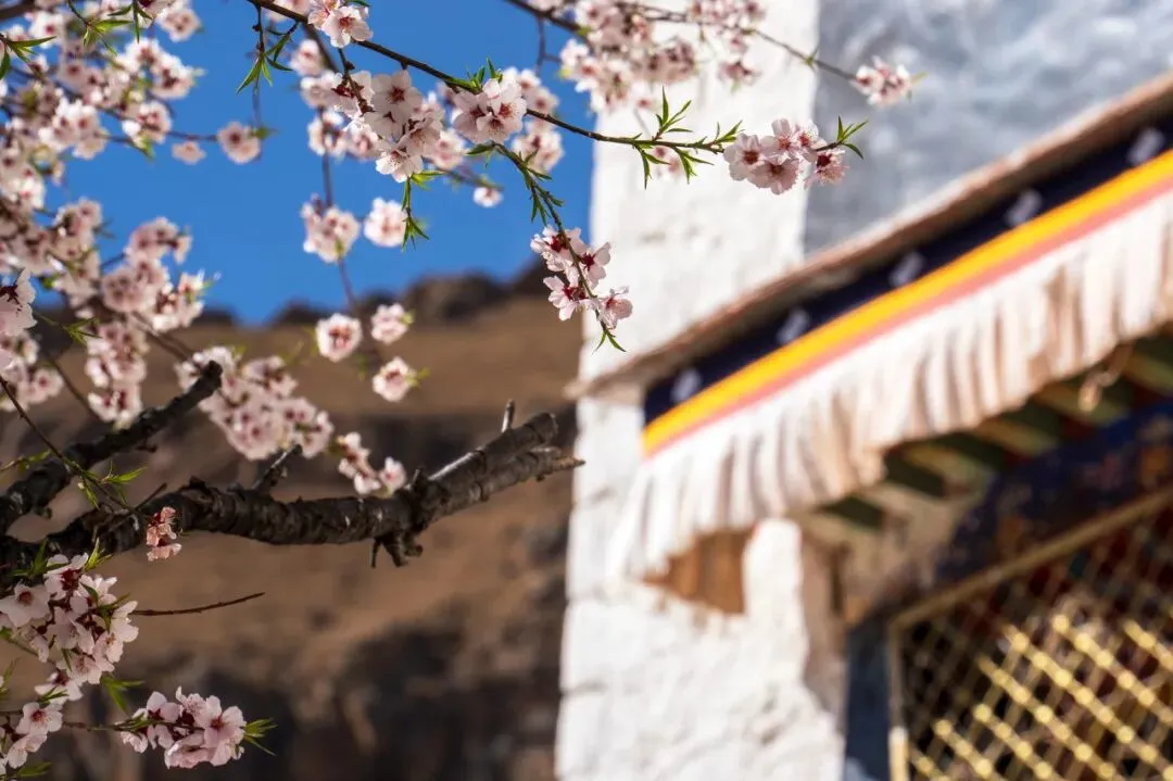 f4af5bb902d5857c543fd2e77b9bbbe6-sz_108542 f4af5bb902d5857c543fd2e77b9bbbe6-sz_108542