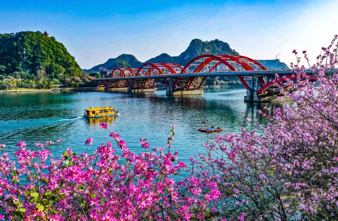 f4d9d6e7851ba95b66459ac9ceb0c2db-sz_1011443