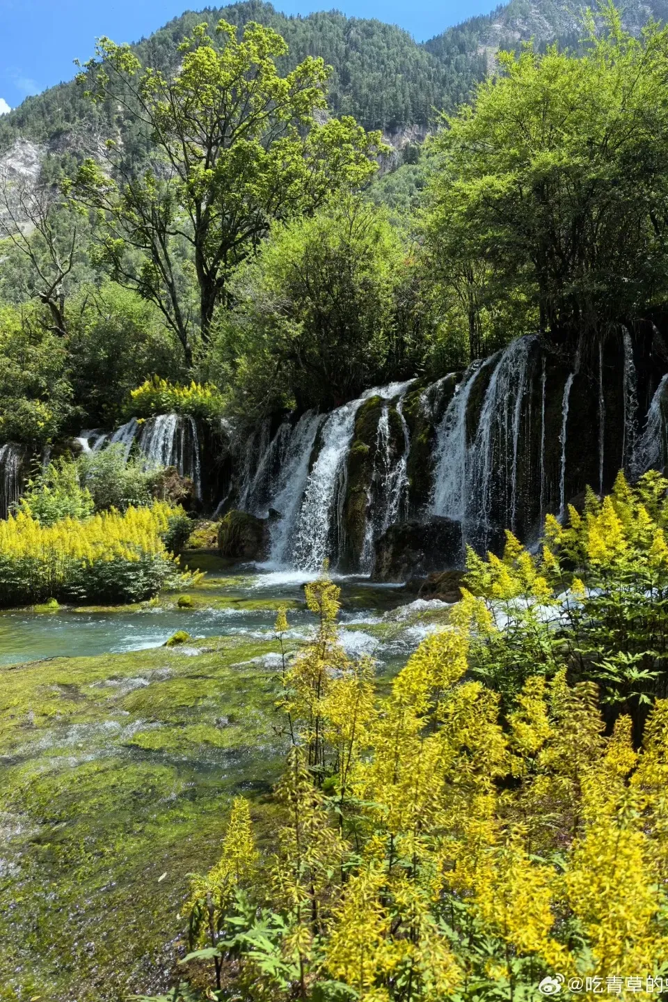 f526d29a64e9cc94eec412abc1eb0a7c-sz_838475-1 f526d29a64e9cc94eec412abc1eb0a7c-sz_838475-1