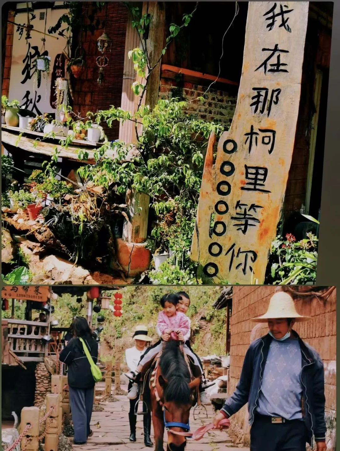 f5364cc088e99fda4217854464697948-sz_735548 f5364cc088e99fda4217854464697948-sz_735548