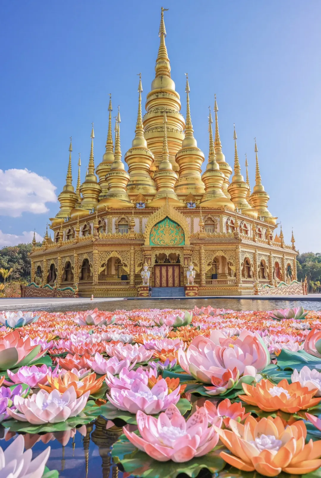 f5439a1730aeb4f6698bbe22fbd93f30-sz_839095