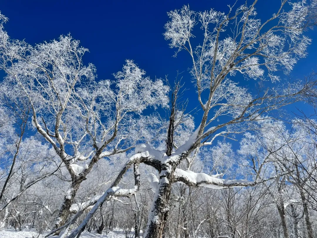 f54a4bc974e53304ed1a6699088b7945-sz_3384042