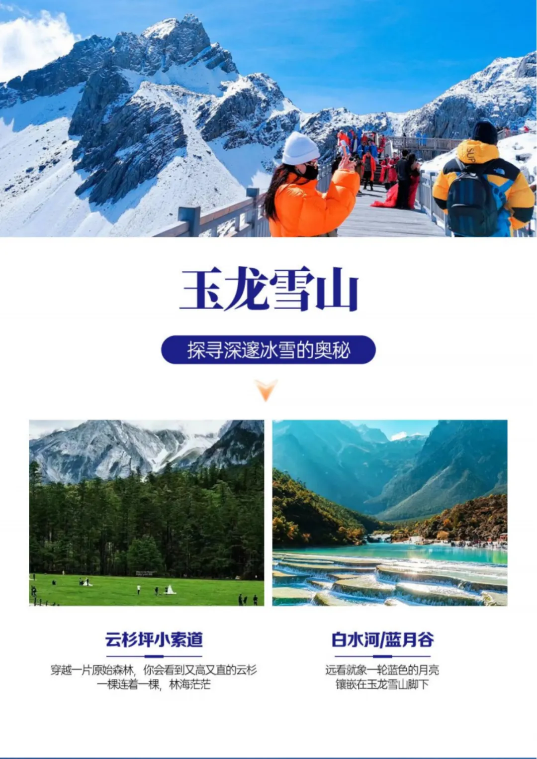 f575a2457f4b3c9cf60dec42a02fa708-sz_2993739