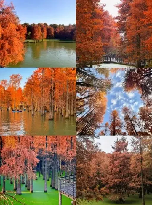 f57d2f4a8da5da26402d10a6e3471e6a-sz_978145