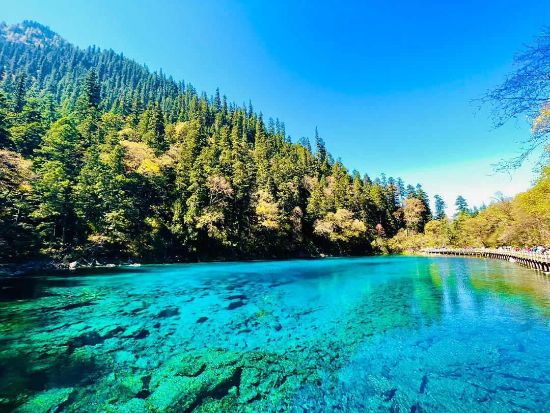 f590aa61679eaf51bd4f924b766914d0-sz_2068211 f590aa61679eaf51bd4f924b766914d0-sz_2068211