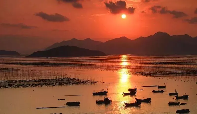 f5a3d7fd94607e876339ac5f13250243-sz_45259-1