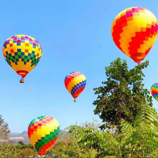 15人小团|真纯玩0购物0景交|喜来登约惠温德姆：直飞版纳5日游，独家金澜湄游艇+换装跟拍一天