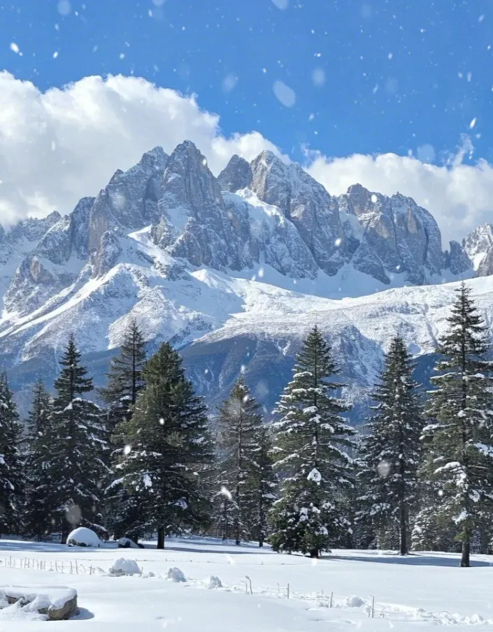 f5c43fb1cfce881ff6435520abc04a14-sz_1187785 f5c43fb1cfce881ff6435520abc04a14-sz_1187785