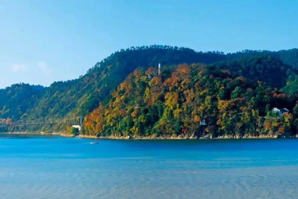 f5c76fea33f9e7e174ed7a952e48c171-sz_306822