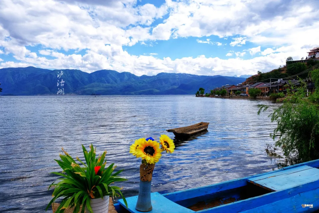 f5cecdb3c2747cfead028de5da601ad8-sz_2438720