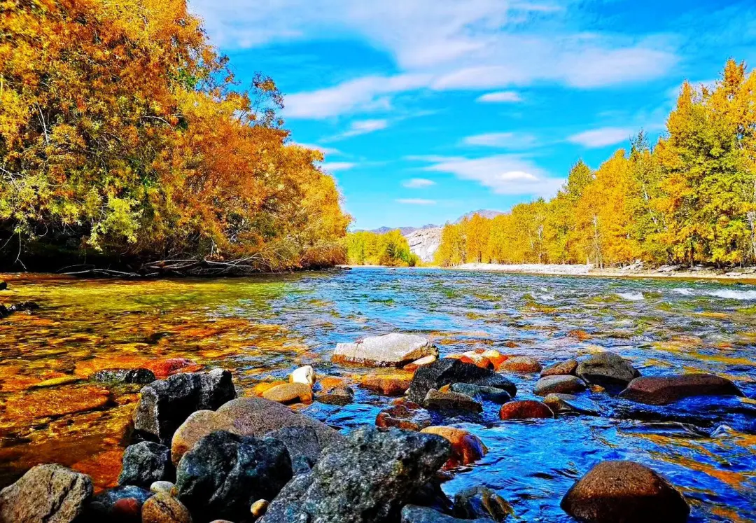 f5d58abfb43b42e3562f79302e5b315a-sz_488206-1