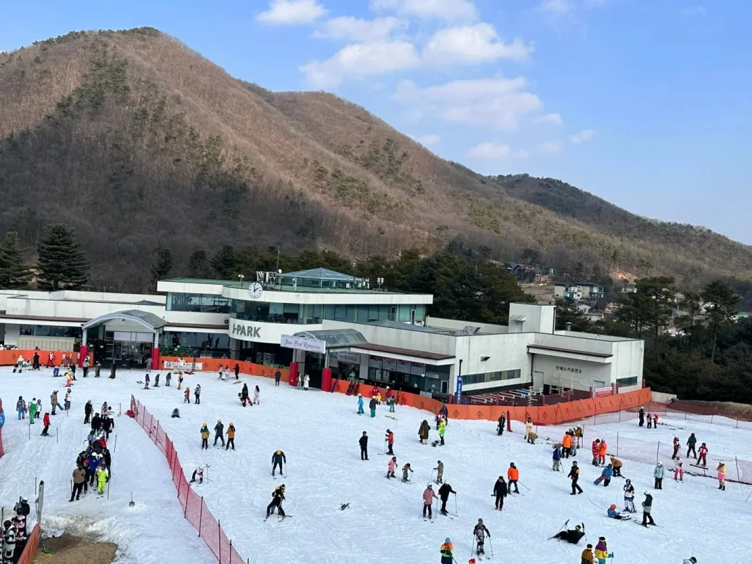 f5ddc2755c71743bdaca1c708696eff1-sz_460003