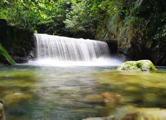 f5eb76082dc1def2dbf3427e9f8fe28b-sz_590992