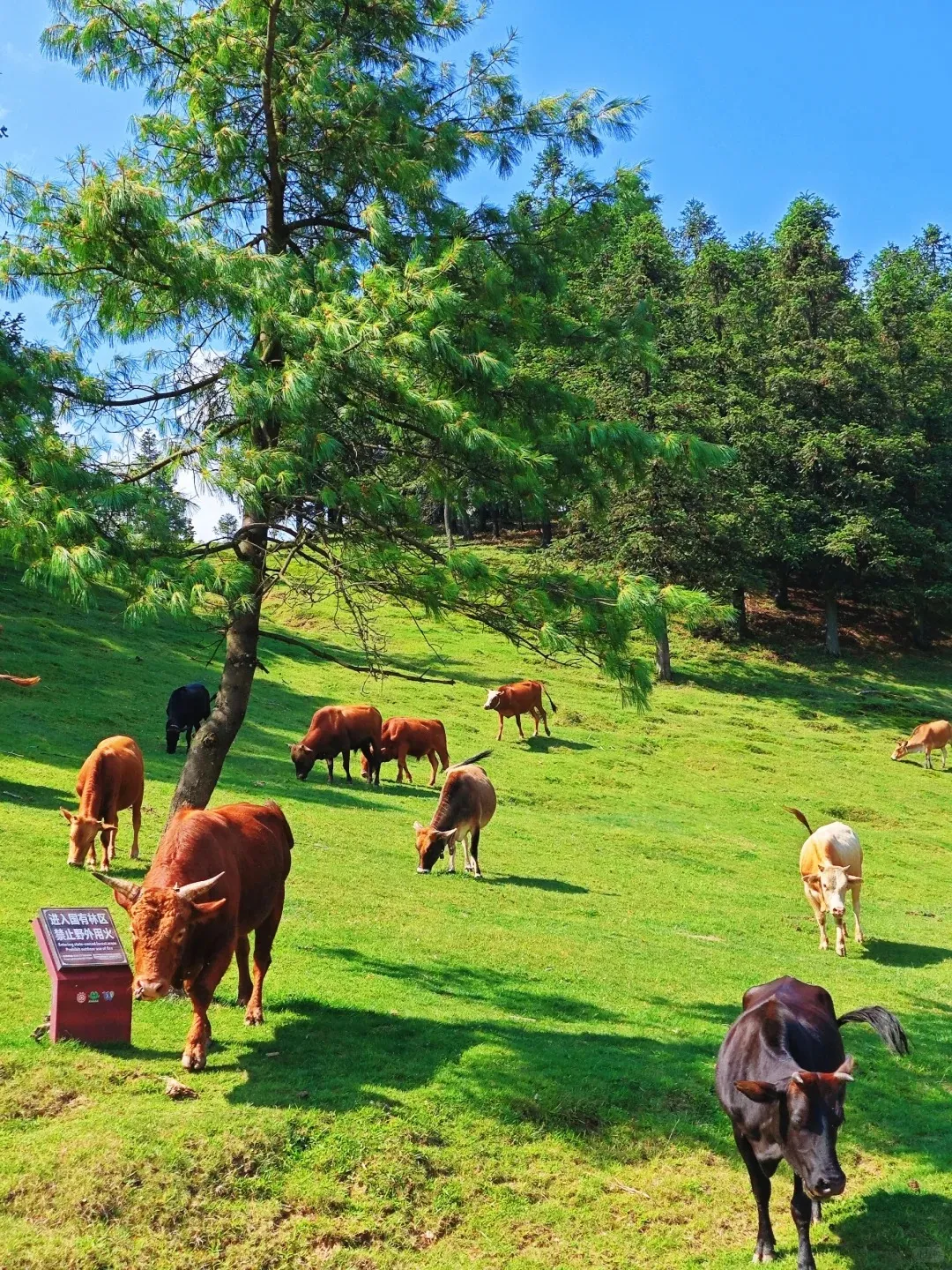 f63f89769e6413f373bb8f9a47595f04-sz_791554 f63f89769e6413f373bb8f9a47595f04-sz_791554