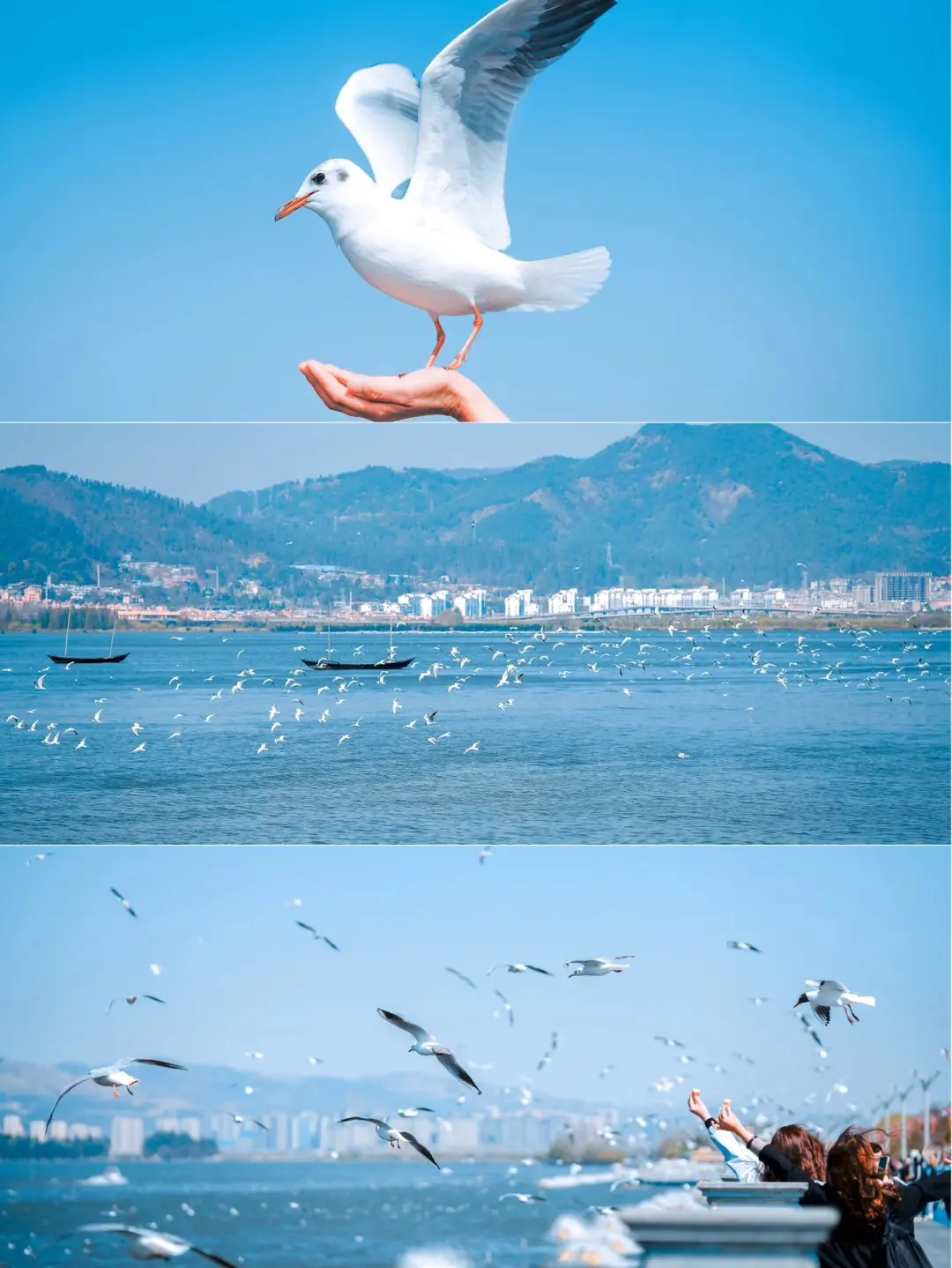 f68f02a7a7e68e6e9bc80d13c532c2a8-sz_281189